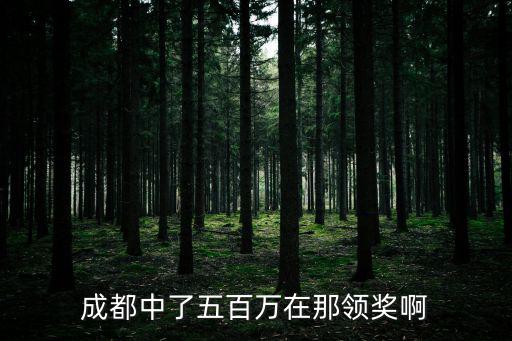成都中了五百萬在那領獎啊