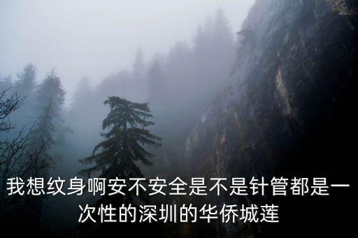 我想紋身啊安不安全是不是針管都是一次性的深圳的華僑城蓮