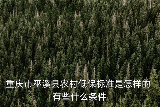 重慶市低保戶標準是什么，重慶合川農村低保標準