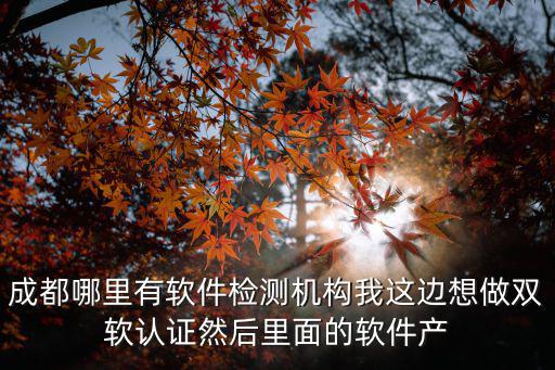 成都哪里有軟件檢測(cè)機(jī)構(gòu)我這邊想做雙軟認(rèn)證然后里面的軟件產(chǎn)