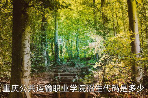 重慶公共運輸職業學院招生代碼是多少