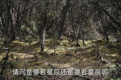 請問是廖若星辰還是寥若星辰呢