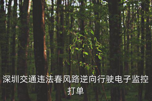 深圳交通違法春風路逆向行駛電子監控打單