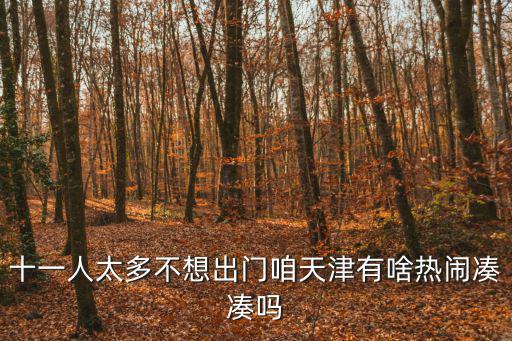 天津市國(guó)慶匯演，天津市十一有哪些活動(dòng)