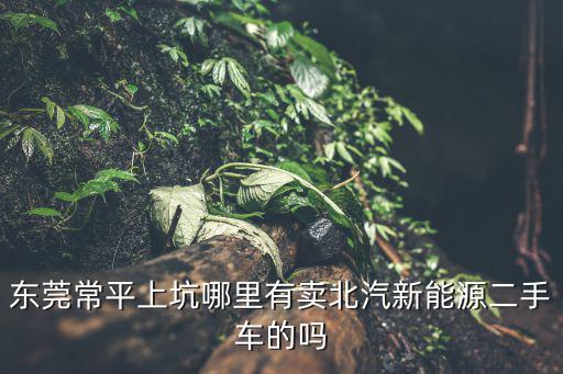 東莞常平上坑哪里有賣北汽新能源二手車的嗎