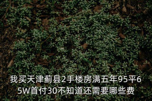 我買天津薊縣2手樓房滿五年95平65W首付30不知道還需要哪些費