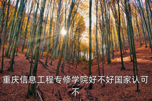重慶信息工程專修學院好不好國家認可不
