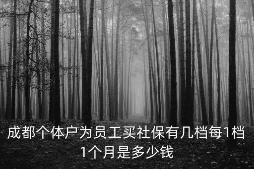 成都個體戶為員工買社保有幾檔每1檔1個月是多少錢