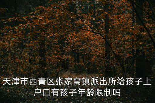 天津市西青區張家窩鎮派出所給孩子上戶口有孩子年齡限制嗎