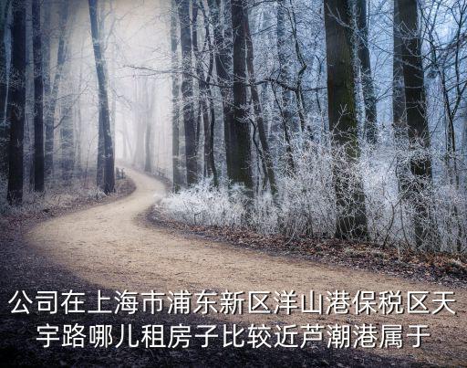公司在上海市浦東新區(qū)洋山港保稅區(qū)天宇路哪兒租房子比較近蘆潮港屬于