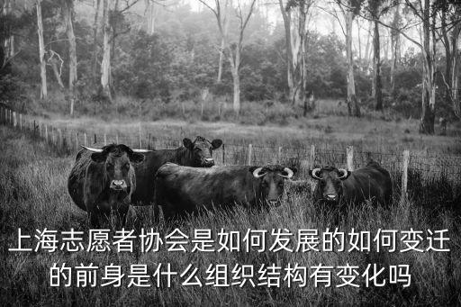 上海市委宣傳部 高安路，上海市委宣傳部的地址