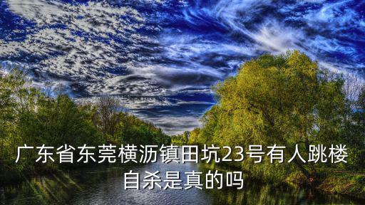 廣東省東莞橫瀝鎮田坑23號有人跳樓自殺是真的嗎
