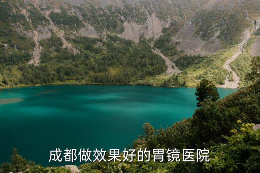 成都做效果好的胃鏡醫(yī)院