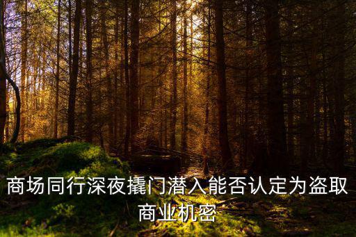 商場同行深夜撬門潛入能否認定為盜取商業機密
