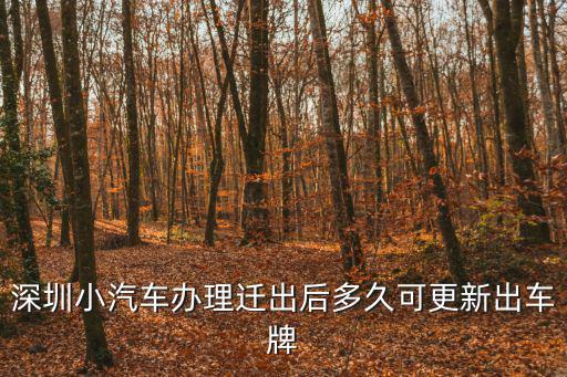 深圳車輛外遷指標(biāo)更新時(shí)間，深圳小汽車辦理遷出后多久可更新出車牌