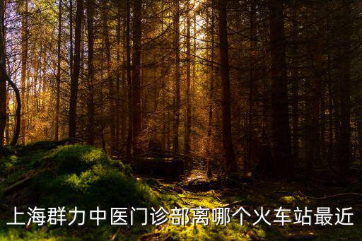 上海群力中醫門診部離哪個火車站最近
