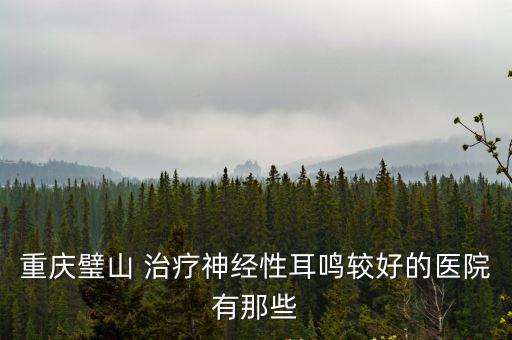 重慶市璧山老城醫(yī)院圖片，重慶璧山 治療神經(jīng)性耳鳴較好的醫(yī)院有那些