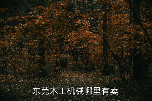 東莞木工機械哪里有賣