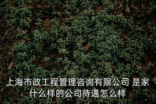 上海市政養護管理有限公司官網，上海市政養護管理有限公司和上海長檸建設工程質量檢測有限公司待遇