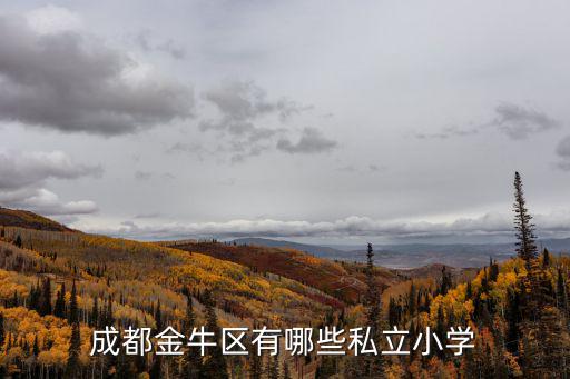 成都金牛區(qū)有哪些私立小學(xué)