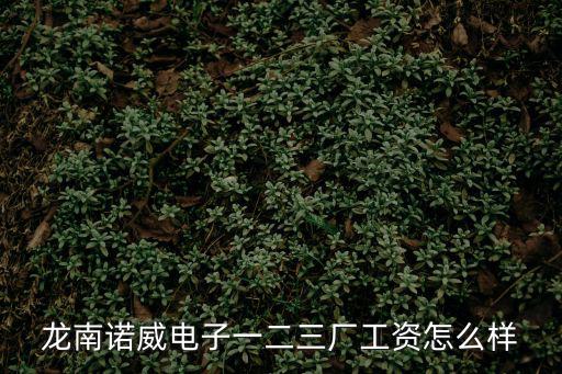 龍南諾威電子一二三廠工資怎么樣