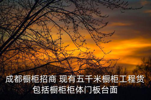 成都櫥柜招商 現有五千米櫥柜工程貨包括櫥柜柜體門板臺面