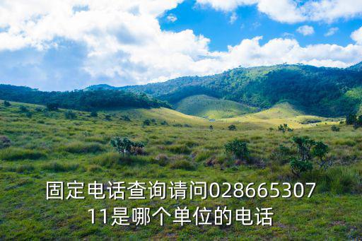 成都市獨角獸企業入駐找哪個部門，02867816933是哪個單位的電話