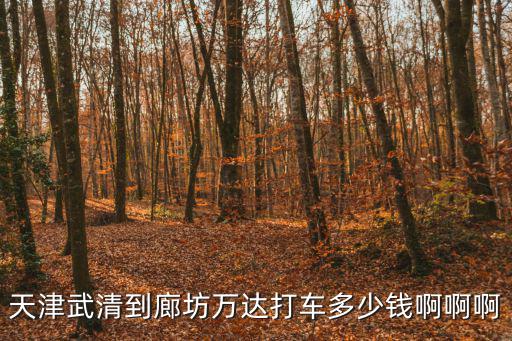 天津市到廊坊市打滴滴多少錢，天津楊柳青打的到廊坊要多少錢啊