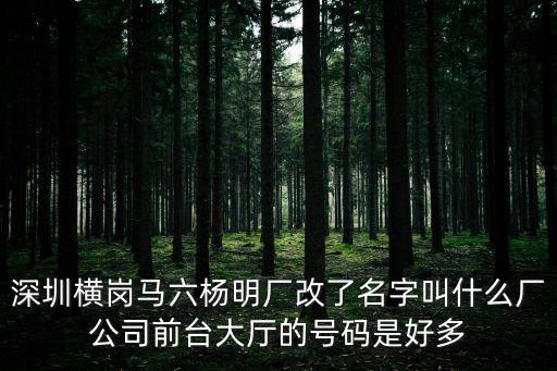 深圳橫崗馬六楊明廠改了名字叫什么廠公司前臺大廳的號碼是好多