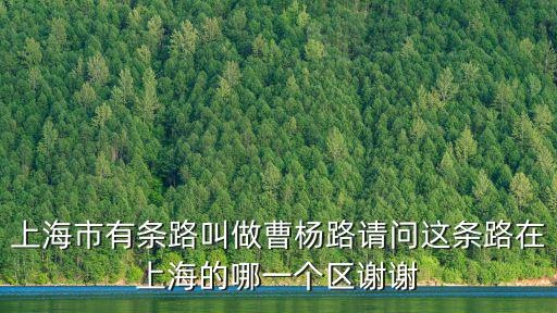 上海市有條路叫做曹楊路請(qǐng)問(wèn)這條路在上海的哪一個(gè)區(qū)謝謝