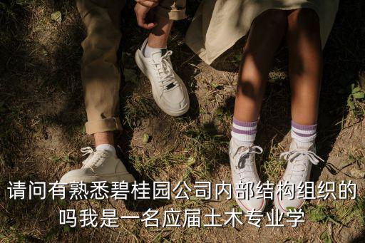 請問有熟悉碧桂園公司內部結構組織的嗎我是一名應屆土木專業學