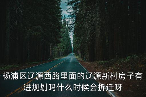 楊浦區遼源西路里面的遼源新村房子有進規劃嗎什么時候會拆遷呀