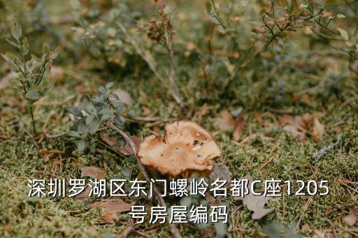 深圳羅湖區東門螺嶺名都C座1205號房屋編碼