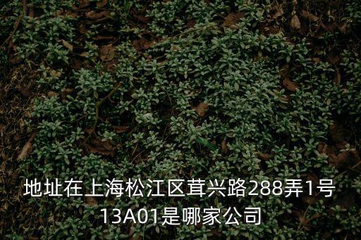 地址在上海松江區茸興路288弄1號13A01是哪家公司