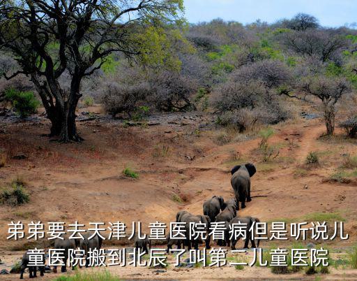 弟弟要去天津兒童醫院看病但是聽說兒童醫院搬到北辰了叫第二兒童醫院
