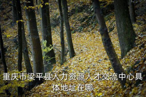 重慶市梁平縣人力資源人才交流中心具體地址在哪