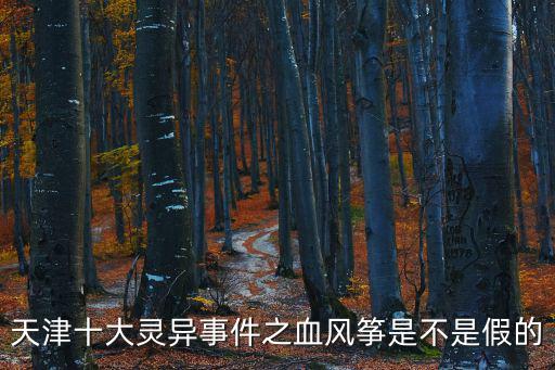天津十大靈異事件之血風(fēng)箏是不是假的