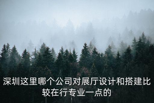 深圳這里哪個公司對展廳設計和搭建比較在行專業一點的