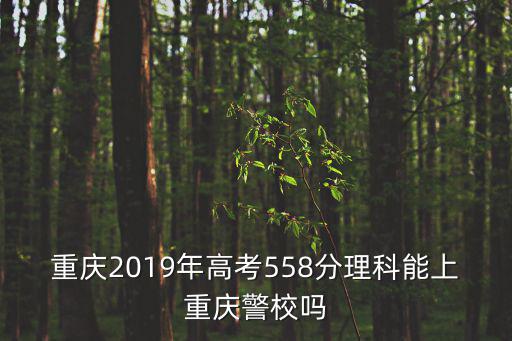 重慶2019年高考558分理科能上重慶警校嗎