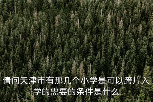 請(qǐng)問天津市有那幾個(gè)小學(xué)是可以跨片入學(xué)的需要的條件是什么