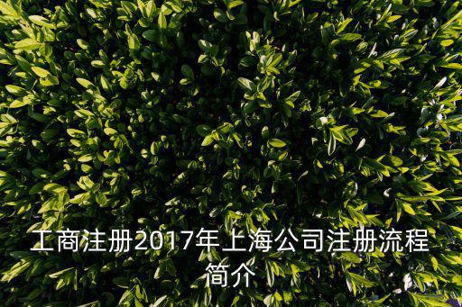 工商注冊2017年上海公司注冊流程簡介