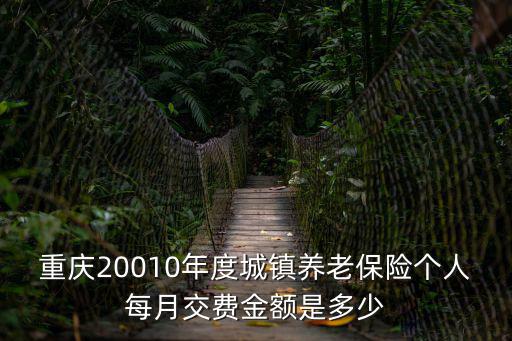 重慶20010年度城鎮養老保險個人每月交費金額是多少