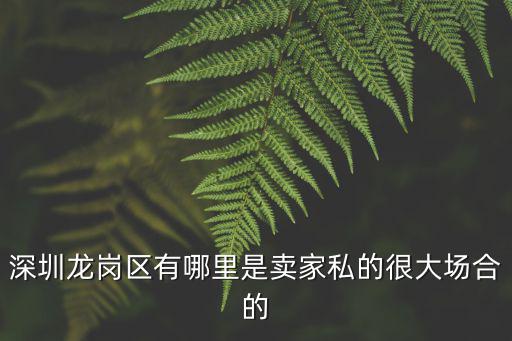 深圳龍崗區有哪里是賣家私的很大場合的