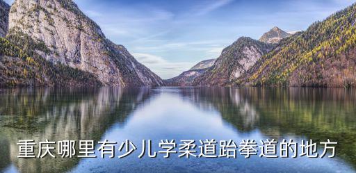 重慶哪里有少兒學柔道跆拳道的地方