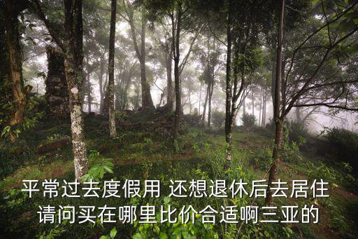 平常過去度假用 還想退休后去居住 請問買在哪里比價合適啊三亞的