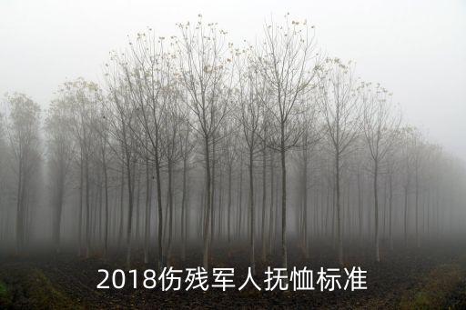 2018傷殘軍人撫恤標準