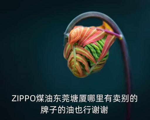 ZIPPO煤油東莞塘廈哪里有賣別的牌子的油也行謝謝