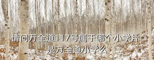 請(qǐng)問萬全道117號(hào)屬于哪個(gè)小學(xué)片 是萬全道小學(xué)么