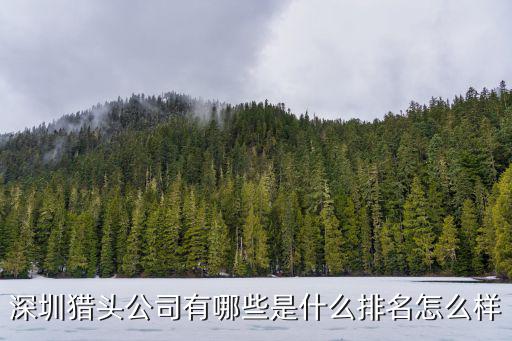 深圳英德爾，深圳英格爾電子廠怎么樣有具體地址嗎