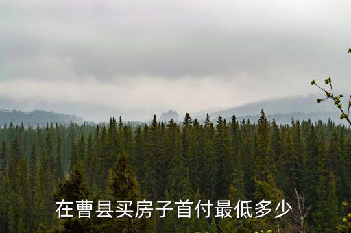 山東曹縣哪個(gè)小區(qū)房?jī)r(jià)最低，曹縣都有哪些小區(qū)